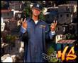 Shelow Shaq - Conjutivitis en fundita