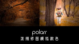 如何使用泼辣修图 for ipad 模拟秋天色彩 林荫小路 树林人像