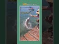 فتحي يا فتحي احفر الحفرة يافتحي ضحك فتحي يا فتحي احفر الحفرة يافتحي ضحك