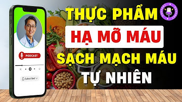 TOP THỰC PHẨM LÀM SẠCH MẠCH MÁU, HẠ MỠ MÁU TỰ NHIÊN, NGỪA ĐỘT QUỴ [Phan Quang Podcast Esp.34]