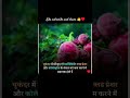 चुकंदर में मौजूद एंटीऑक्सीडेंट #shorts #ytshorts #viralshorts #generalknowledge