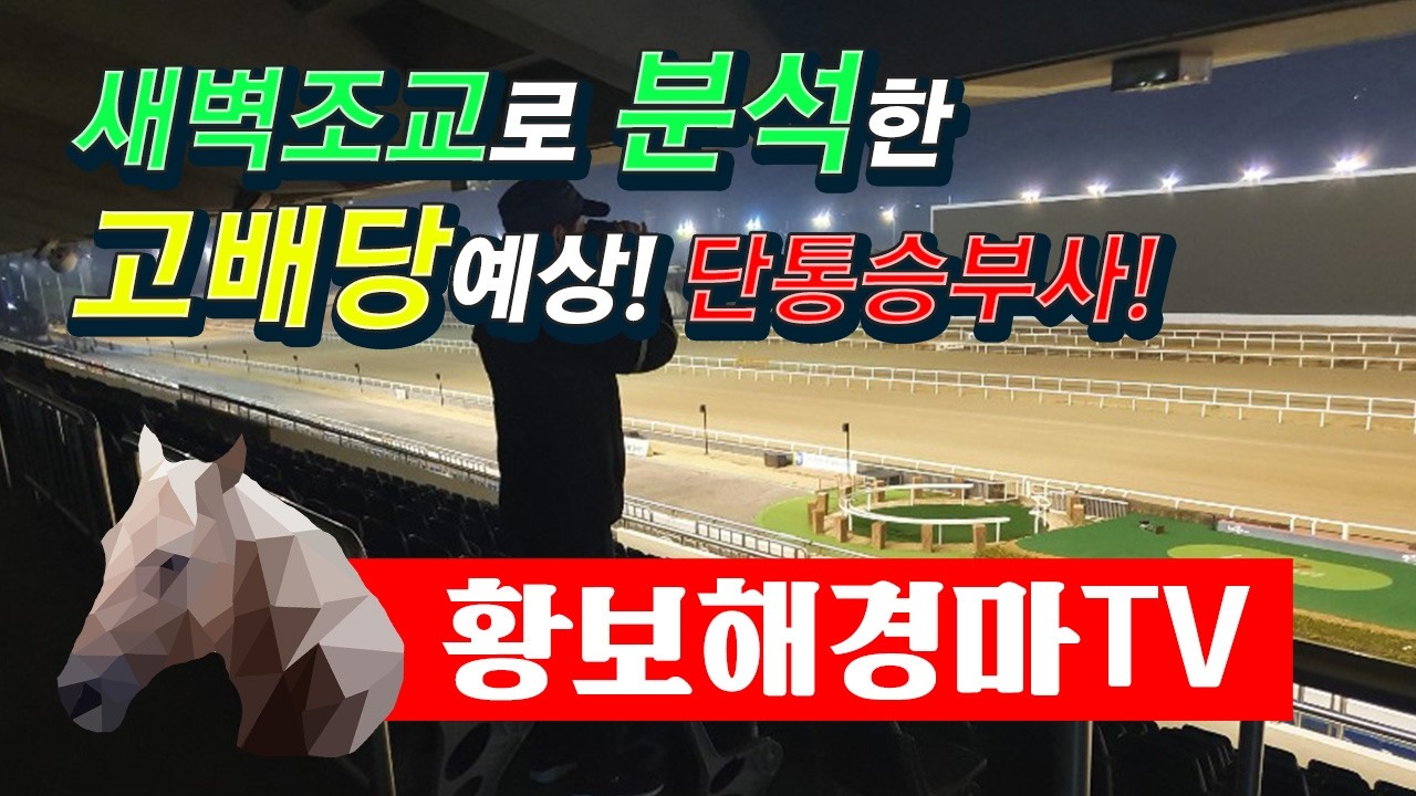 2026년 (부산금요일)최종분석 확정 ..7월3일 승부경주 7경주,8경주 (승부는 삼쌍승식으로 고배당 노림)!!