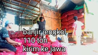 jengkol mentah Kalimantan || truk Fuso lintas Kalimantan