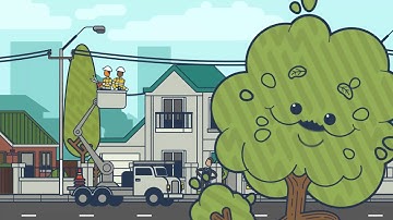 Why we prune trees - Trev and Stan