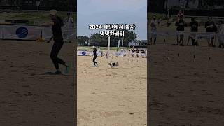 2024 태안에서 놀자 댕댕한바퀴랑 같이 주최했던곳에서 대회도 하네요 실제로 본적은 처음인데 신기하네요 완전 멋짐