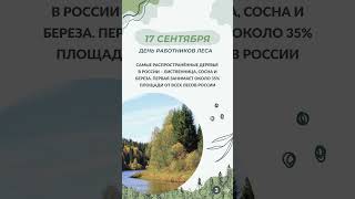 Ежегодно в России отмечается День работников леса, в третье воскресенье сентября  #ЕР #ЗдоровыйЛес