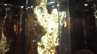 World's Largest Golden Nugget