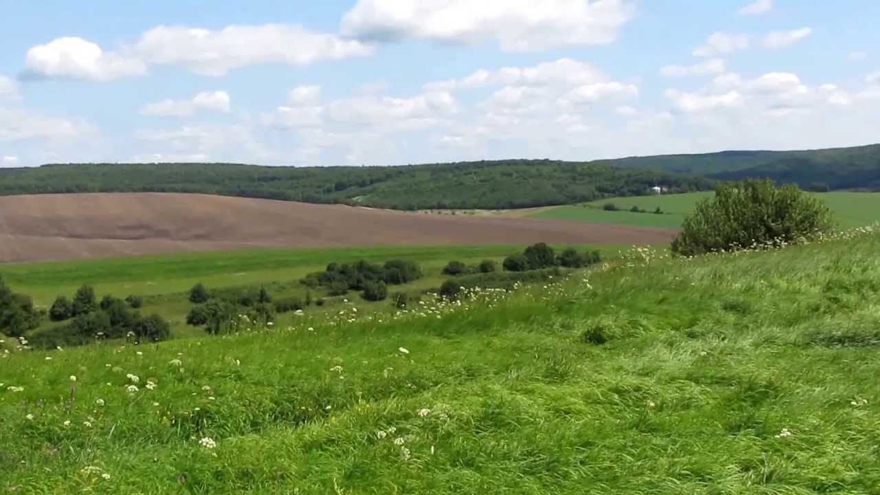 Вид з Чортової гори (Рогатинський р-н, Івано-Фр. обл.)
