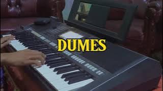 Karaoke Dumes || Manual Style Yamaha PSR s770