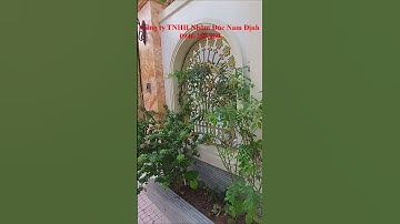 ✅ ✅  Cổng nhôm đúc Nam Định