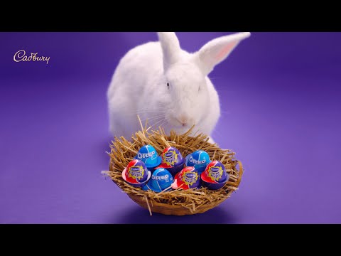 Cadbury Creme Egg is back - Cadbury Creme Egg is back