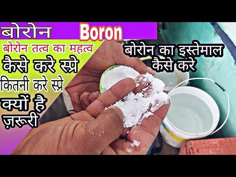 Boron micronutrient |  बोरोन तत्व का महत्व | praveen Thakur | micronutrient fertilizer | Boron