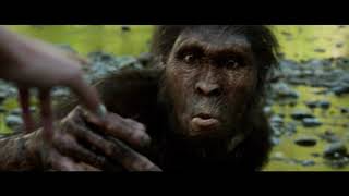 Австролопитек Люси Lucy Australopithecus