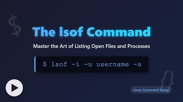 Master the lsof Command: Find Open Files & Processes in Linux!