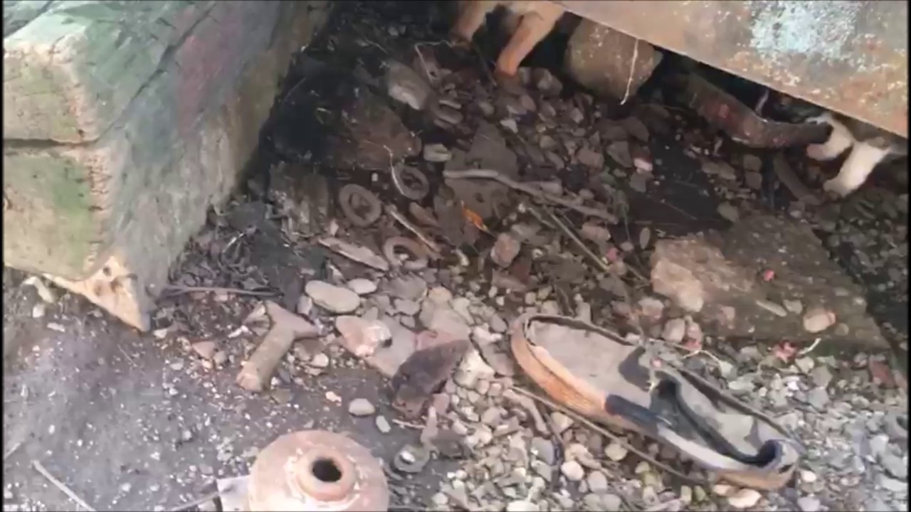 Greta, her puppies and the other dogs there romania currency