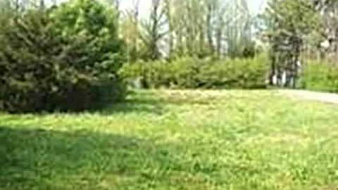 Homes for Sale - 401 Dennington St Paragould AR 72...