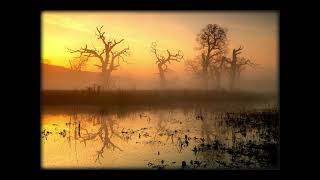 Liquid Fraction - Summer Special - Part 9 - Deep Ambient DuB Techno - SEP 2025