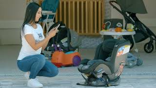 Make Extra Income As A Babyquip Quality Provider Earn 1K - 10K