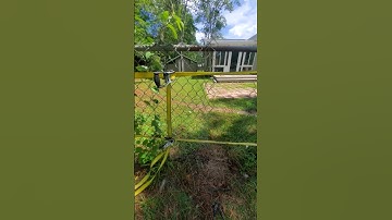 How to Repair a Chain-Link Fence Trick Handyman Won
