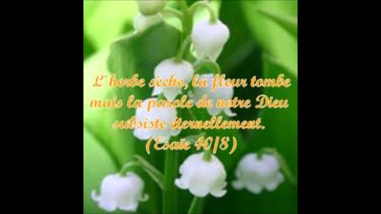 Comment un vrai prophète de Dieu devient un sorcier par Henri Viaud