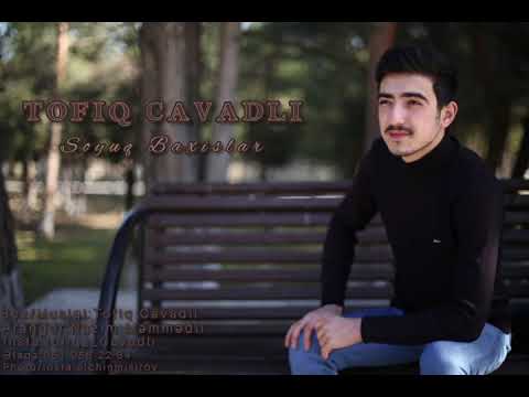 Tofiq Cavadlı - Soyuq Baxışlar