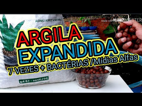 ARGILA EXPANDIDA NAS CAMAS DE CULTIVOS / #PISCICULTURAURBANA #AQUAPONIA #COLONIA DE BACTÉRIAS.......