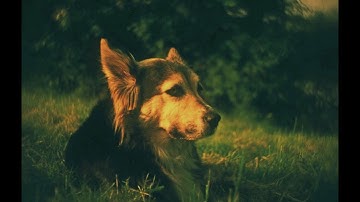 An Obsession with Carp Episode 18 (Wraysbury part 6)