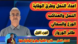 اعداء النحل|أخطر اعداء النحل|اعداء خلية النحل|افضل الطرق للتخلص من اعداء النحل 1 الاستاذ عايش الاهدل