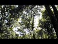 きずなの森初秋/陽ざしの中で