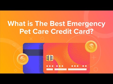 Member Only Petco Credit Card Can It Help You Afford Your Pets Healthcare Area - 039lqzx