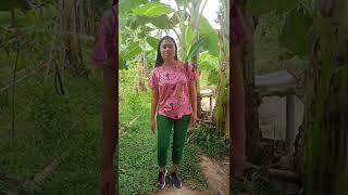 PE 1 Midterm examination