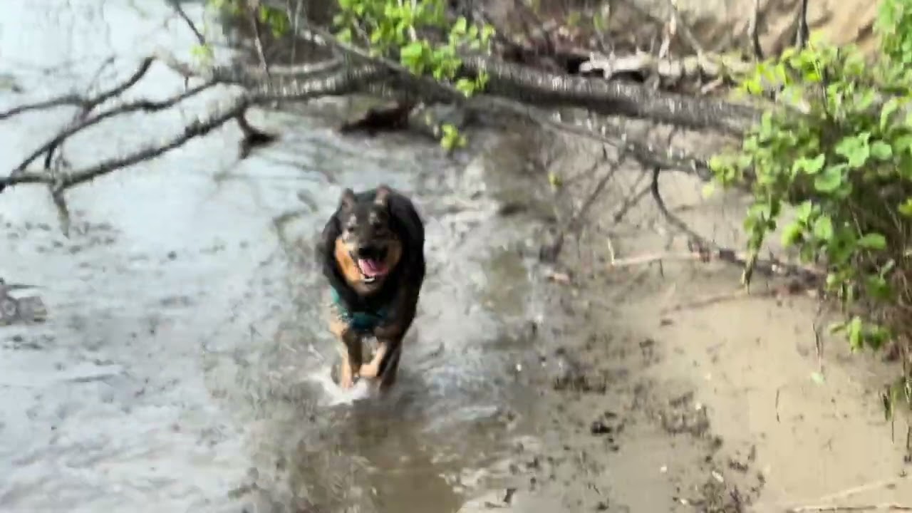 Waterfront Walk at Goddard Park 🌊 | Relax & Explore Rhode Island