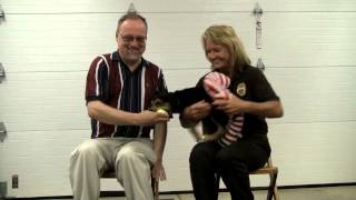 Tom Adoptable Dogs 06272014