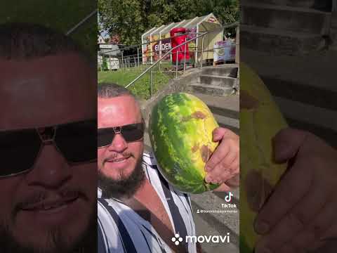 Арбуз в такую жару самое то 🤪👍 #арбуз #германия #бородатаягермания 