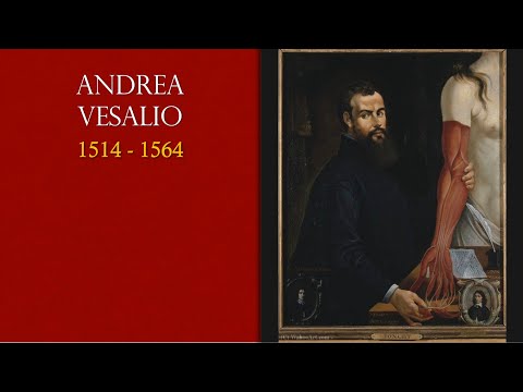 Video: Vesalio Andreas: Biografia, Carriera, Vita Personale