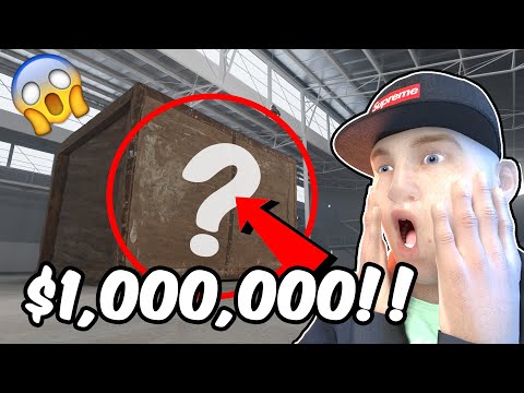 WORLDS MOST EXPENSIVE MYSTERY BOX! ft. Joel Haver | ($1 MILLION DOLLARS!)