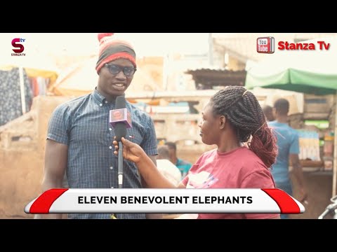 eleven-benevolent-elephants-|-tongue-twisters-|-funny-|-stanzatv-|-street-quiz