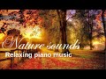 Peaceful Music for Mind Relaxation, Nature Sounds for Stress Relief, Nature
