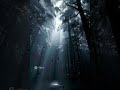 "Whispers in the Midnight Grove"?