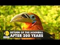 The return of Rufous-Necked Hornbill to Nepal | WION Climate Tracker | World News | English News