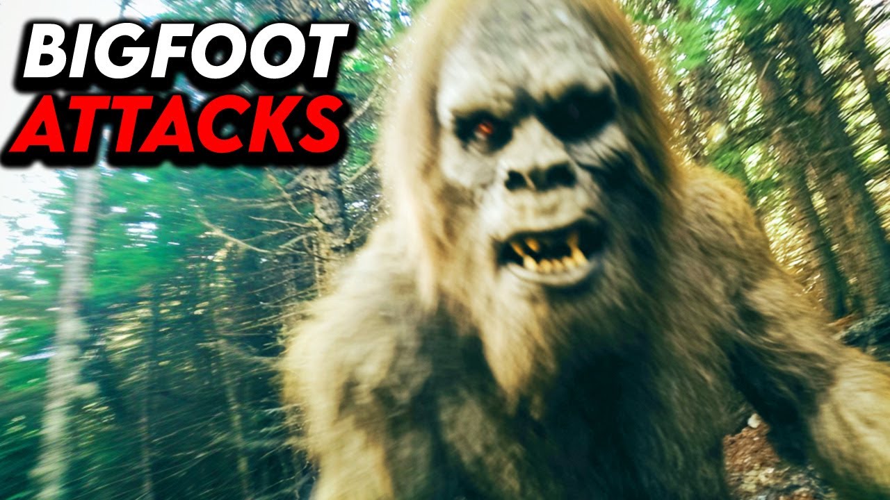 HIKER RECORDS BIGFOOT ATTACK ON CAMERA FOOTAGE | SASQUATCH EXISTS - YouTube
