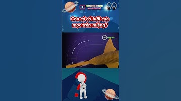 Con cá có lưỡi cưa mọc trên miệng? | 30s Khám Phá #shorts