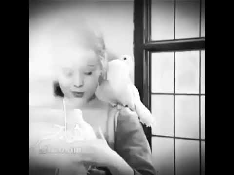 ه   ذآ الهوا م  ن عندهم يحمل طيوف احبابي