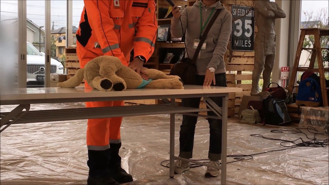 【ドッグレスキュー】犬の心臓マッサージと人工呼吸