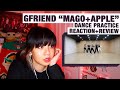 OG KPOP STAN/RETIRED DANCER reacts+reviews GFRIEND "MAGO"+"Apple" Dance Practices!