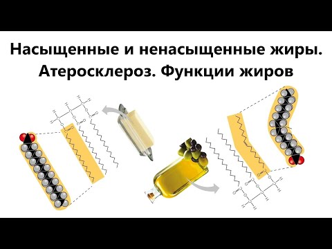 Липиды. Насыщенные и