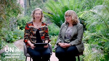 Biodiversity Executive Secretary and UNEP Executive Director discuss environmental multilateralism