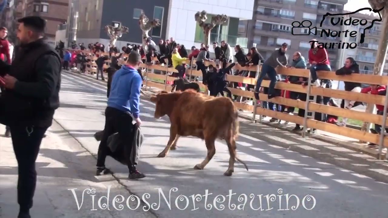 Calahorra (La Rioja) 04-03-2023 Mañana Ganadería Toropasión