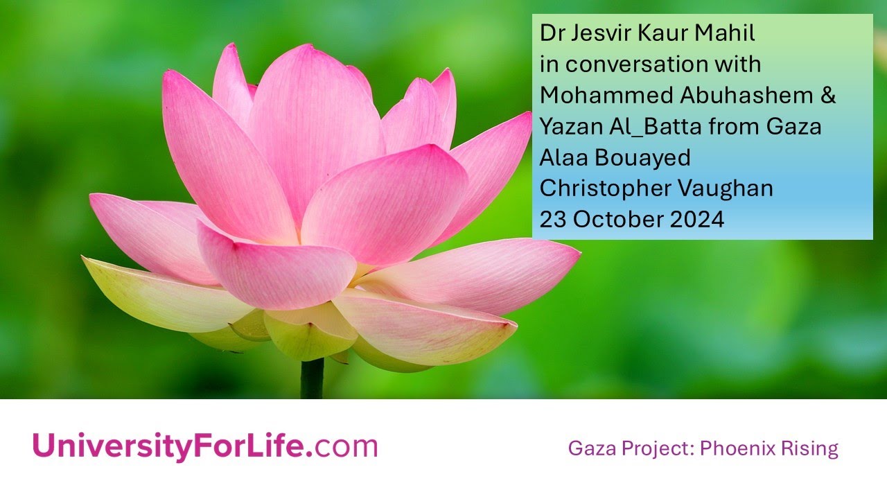 Gaza Phoenix Rising Project (12) 23 October 2024