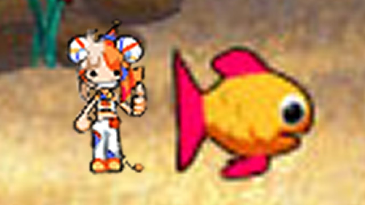 【 Insaniquarium 】Sakana